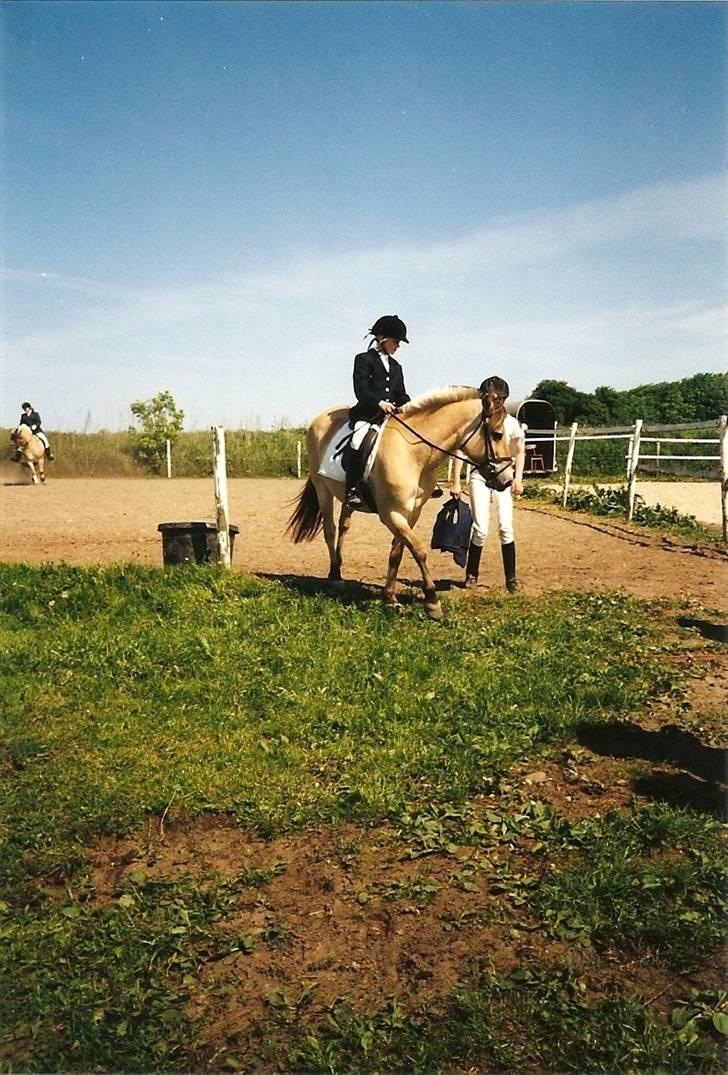 Fjordhest Rosa *RIP*  - Ja (: billede 12