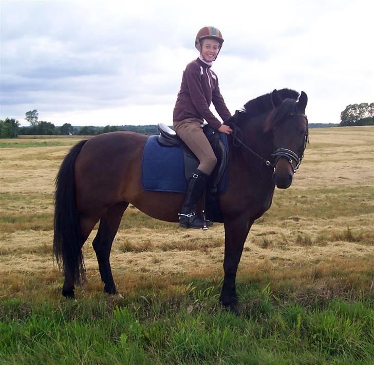 Anden særlig race Stella (solgt) - [2] På vej hjem fra tur sommeren 08, næste lige da vi havde fået hende (:  Synes dette her billede siger så meget, - var og er så lykkelig fordi vi havde fået dig Stella <3 Foto: Jus billede 2