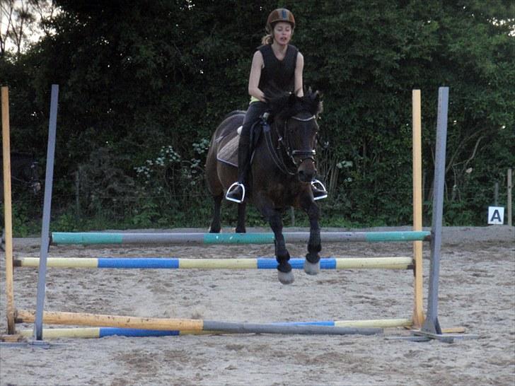 Anden særlig race Stella (solgt) - [3] Spring d. 21 juni 2010 på Damgaarden (;. . Foto: Jus billede 3