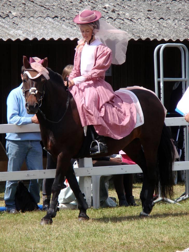 Anden særlig race Stella (solgt) - [5] Stella til kustume springning dyrskue 09. foto: jus billede 5