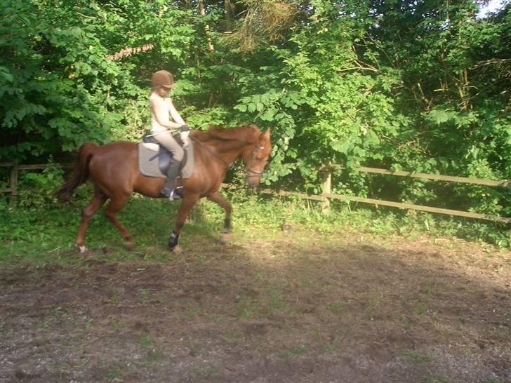 DSP zeus<3 (min egen) - Traver der hjemme ! <33 billede 6