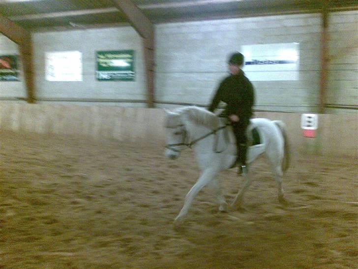 Anden særlig race Kasper *Himmelhest* - 3) Jeg rider Kasper. :D undskyld kvaliteten. :s billede 3