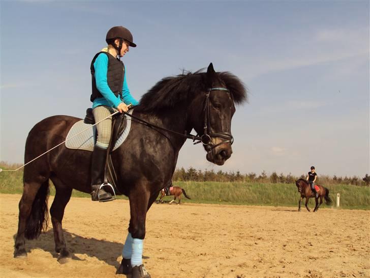 Anden særlig race BOBBY - TH FOTO billede 3