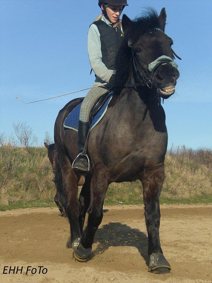 Anden særlig race BOBBY - Pæne Bobby :* billede 4