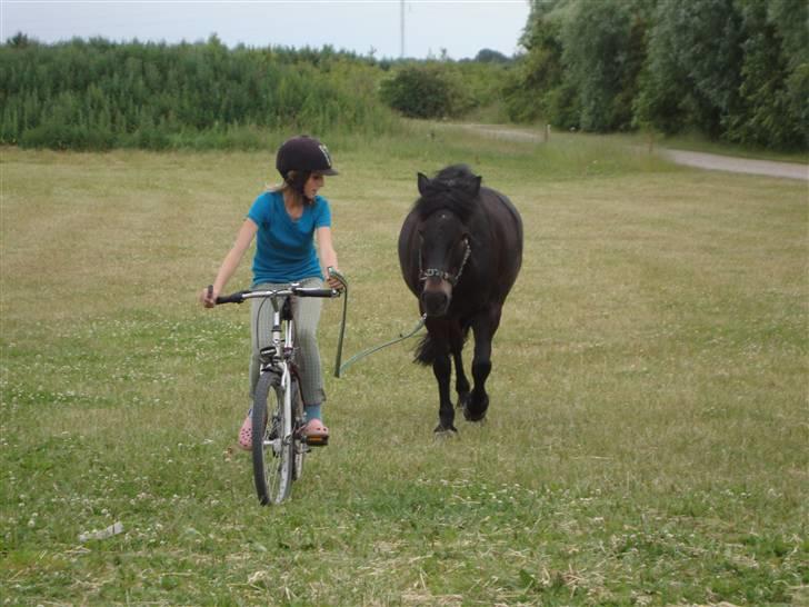 Anden særlig race BOBBY - Er han ikke sød ? :) <3 billede 8