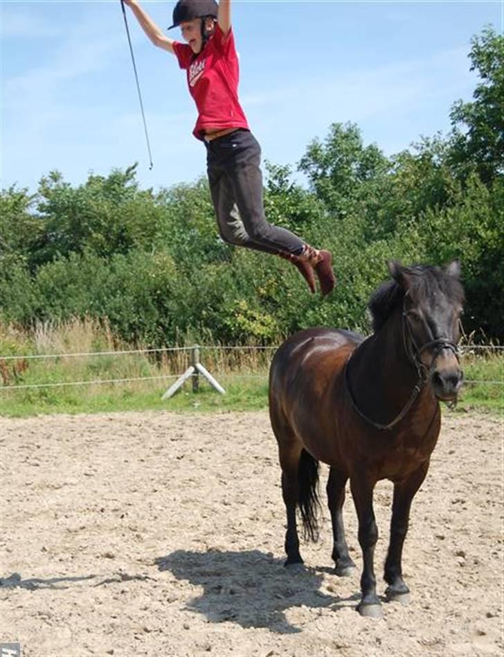 Anden særlig race BOBBY - Foto Kathrine billede 14