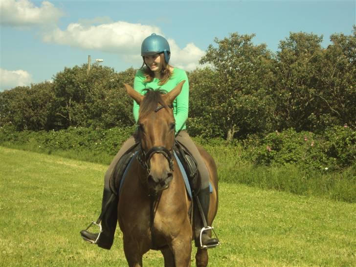 Anden særlig race Miss maja   (død) - på tur billede 4