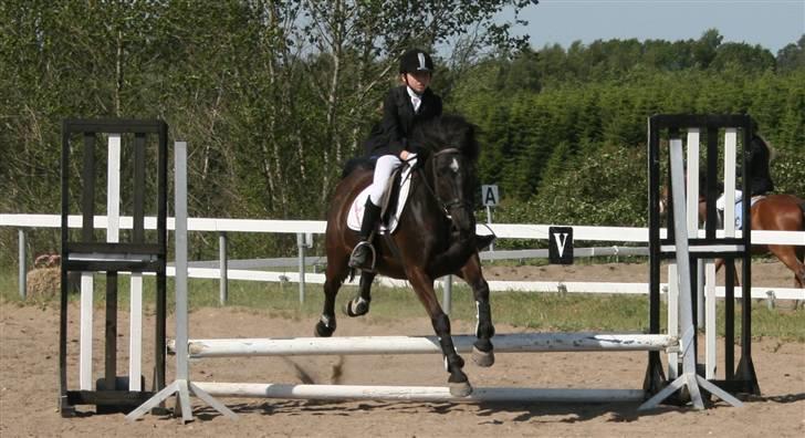 Anden særlig race TiMon  -solgt  - Sponsorstævnet igen. :) billede 3