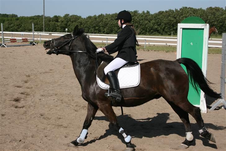 Anden særlig race TiMon  -solgt  - Hehe han griner liige af mig :P Vi red fejl bane i omspringningen, men de andre nåede ikke igennem hovedrunden.. så det blev en 2.plads alligevel ! :) billede 5