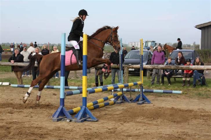 Hollandsk Sportspony Morsø Banks Kashmira SOLGT - springstævne :) på kærbo LD. foto TIT billede 18