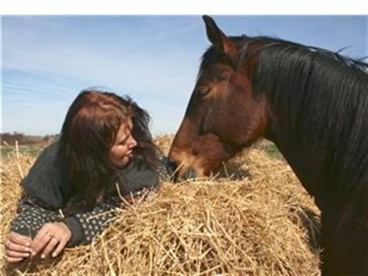Anden særlig race Delano <3 Himmel hest <3 - delano tænker : hvad laver hun nu i min halm?! billede 2