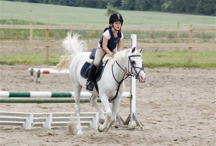 Welsh Cob (sec D) lana sds 35 R.I.P - fordi jeg aldrig vil glemme dig. Du vil altid være i mit hjerte. Fordi man blev lykkelig af at se på dig min Lana ELSKER DIG over alt på denne jord <3 billede 4