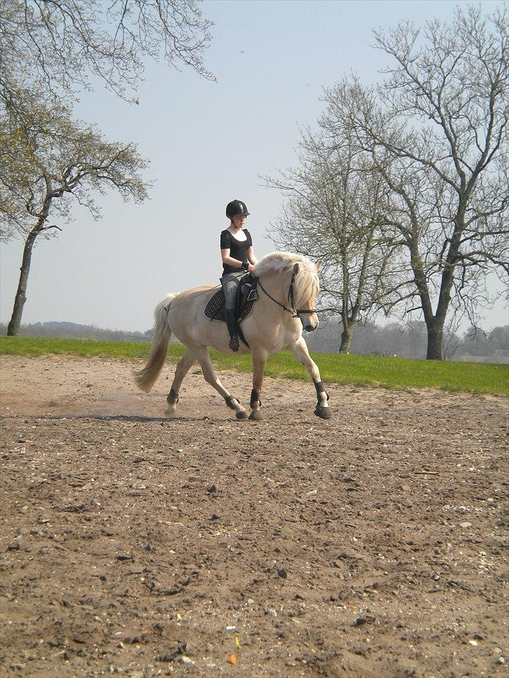 Anden særlig race Mulle   - Taget D 20 April 2011 billede 8