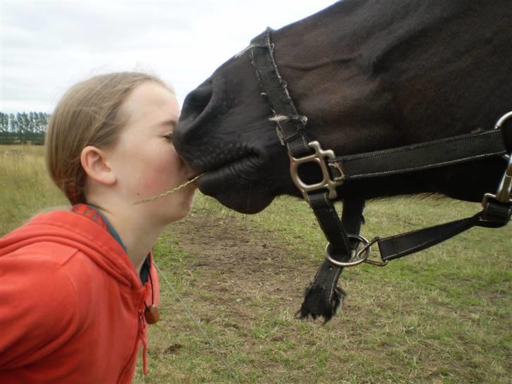 Anden særlig race TiMon  -solgt  - Jeps.. myssetrikset kan han !:o billede 9