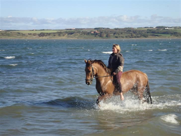 Anden særlig race Tulle - vi var lige ude at bade i lemvig. foto: MOR billede 10