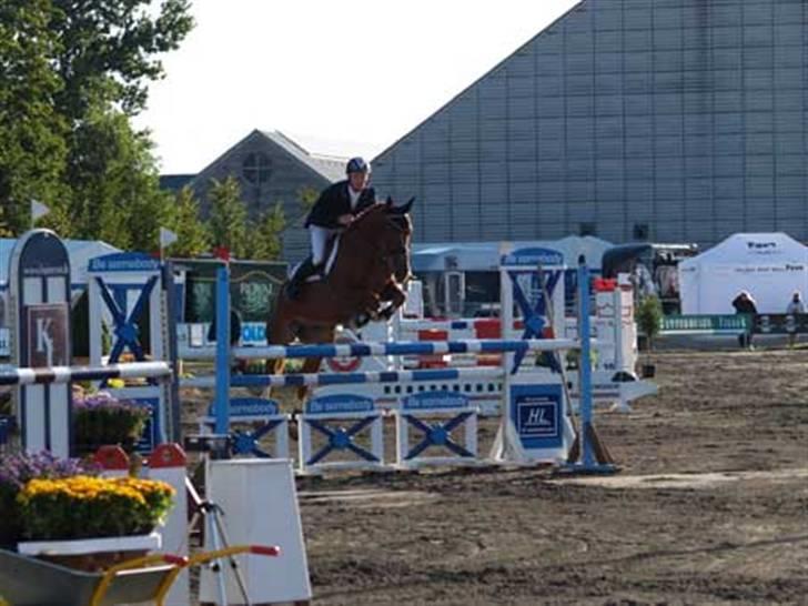 Anden særlig race Acorde Z - AFLIVET - Stævne på Vilhemsborg. billede 14