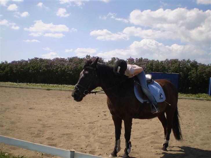 Anden særlig race TiMon  -solgt  - Han får liige en krammer! Han er så dejlig ! <3 billede 12