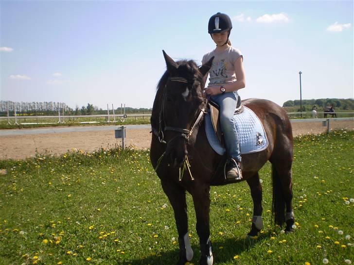 Anden særlig race TiMon  -solgt  - Hihi.. tager mor billeder? Så må vi da hellere liige se rigtigt tosset ud ! :P billede 13