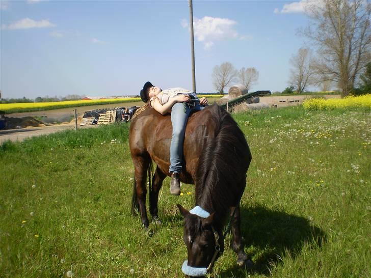 Anden særlig race TiMon  -solgt  - Zz Hehe jeg ligger liige over snorker på Monse, der er igang med at spise (Som sædvanligt :o ) billede 15