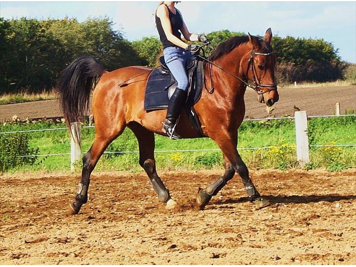 {{currentPhoto.altText}} billede {{currentPhoto.number}}