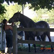 Anden særlig race sascha SOLGT!