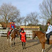 Anden særlig race Isabella Klejs