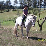 Appaloosa pegasus ER DØD