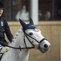 Connemara Calle - SOLGT