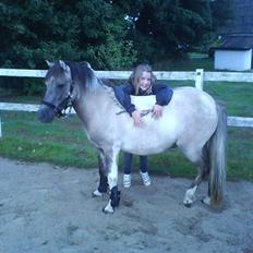 Anden særlig race Sir duke