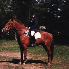 Anden særlig race Ferrari