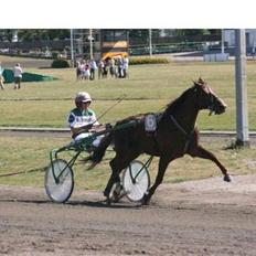 Traver Montana Sølvtop