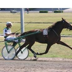 Traver Montana Sølvtop