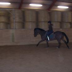 Anden særlig race charlie brown