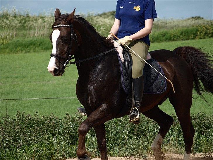 Anden særlig race FELIX DELIGHT - *Det er de her øjeblikke jeg vil huske, for du er og bliver en éner! *Fotograf: Nanna Carlsen(Dogpaw.dk) billede 13