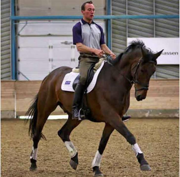 Anden særlig race Azur - Azur med hans gamle rytter billede 8