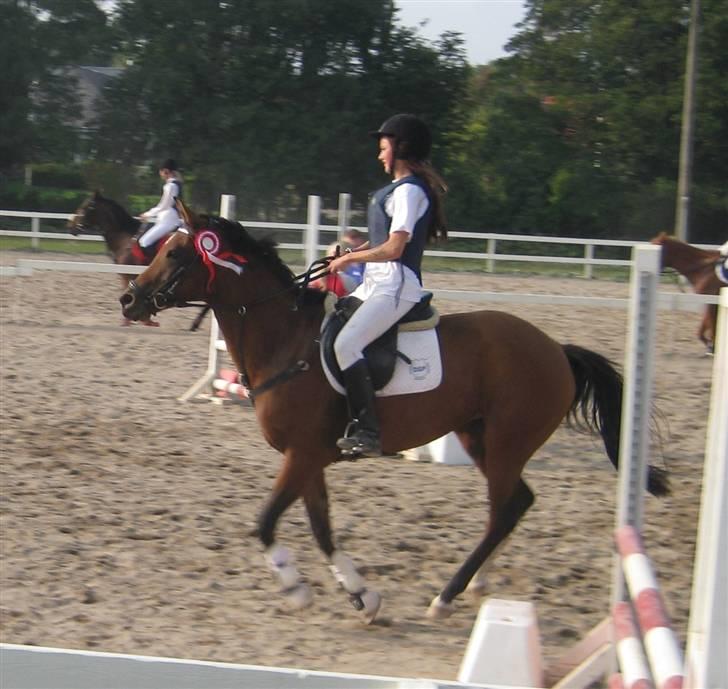 DSP Kamica Toft - kamica i årslev <3 billede 3