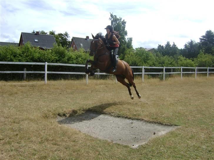 DSP Kamica Toft - <333 kamica hopper tørgrav for første gang og i første forsøg ; )  OBS! JEG RIDER BIDLØST OG HI VER HENDE DERFOR IKKE I MUNDEN!  billede 9