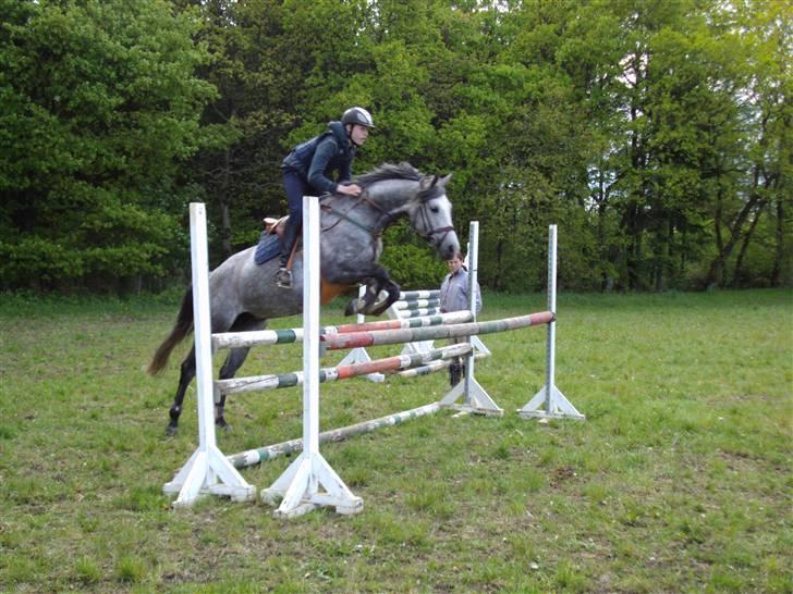 Sportsaraber (A) LilleStaruphøjs Sassi - træning i billund billede 4