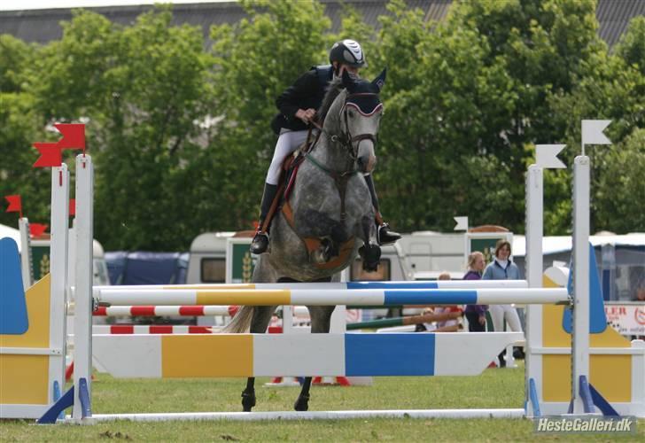 Sportsaraber (A) LilleStaruphøjs Sassi - stævne i sdr. hygum (KL Foto) billede 6