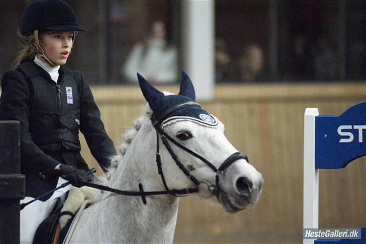 Connemara Calle - SOLGT billede 1