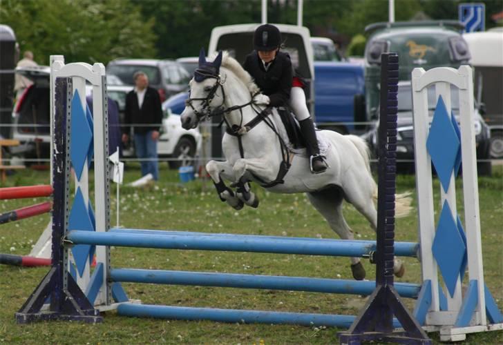 Welsh Pony (sec B) korreborgs figaro(SOLGT): - se hvor vi kan springe,, han  er super god. billede 8