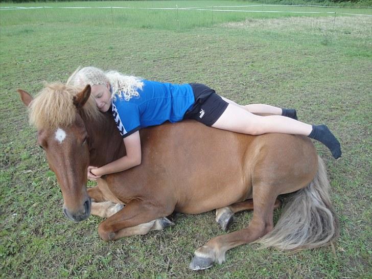 Islænder Stjarna fra Ll. Nygård <3 SOLGT :'( - 7. Ridelejr ved Timian :D <3 *foto: Timian* billede 7