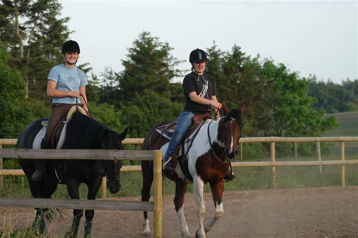 Pinto Pepino  <3  † R.I.P. † - Billede fra ANE 06/07 - Kirk & Can Tali, mig & Pepino - syntes det er et rigtig fint billede :) billede 20