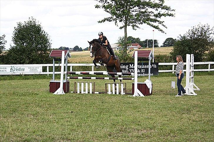 Dansk Varmblod Corazon - Springkursus 2010 billede 3