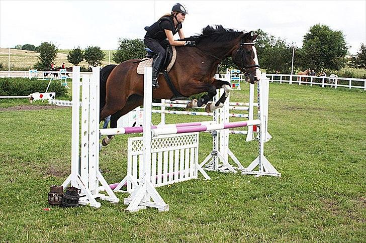 Dansk Varmblod Corazon - Springkursus 2010 billede 5