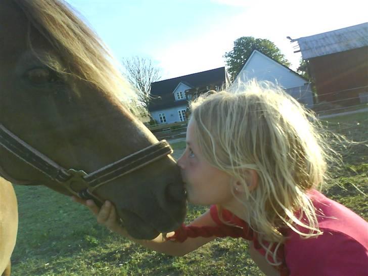 Anden særlig race Joy *SOLGT*   - kysse mysse joy og bedste veninde Emilie<333333 foto : mig<3 billede 6