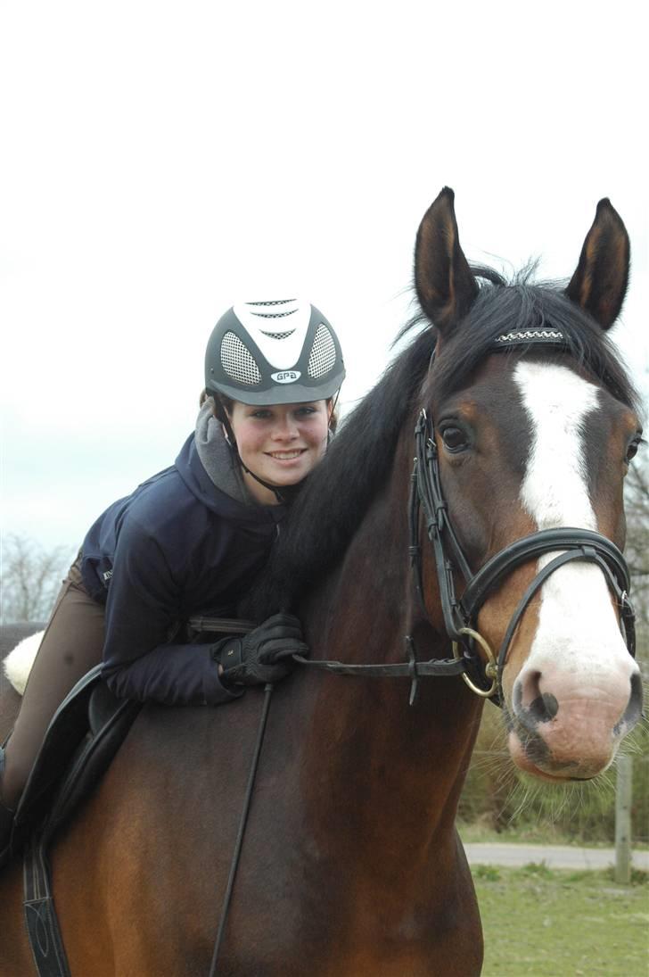 Dansk Varmblod Corazon - Fordi du betyder lidt mere end alt andet :´) <3 billede 13