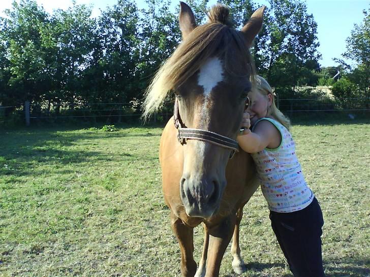 Anden særlig race Joy *SOLGT*   - mig og joy foto : bedste veninde Emilie<33333333333333. billede 13