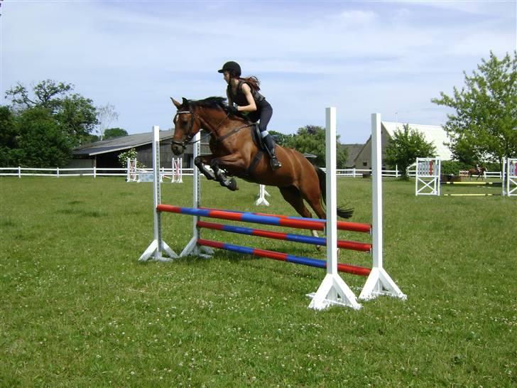 DSP Kamica Toft - kamica til træning hjemme :-* <3  billede 17