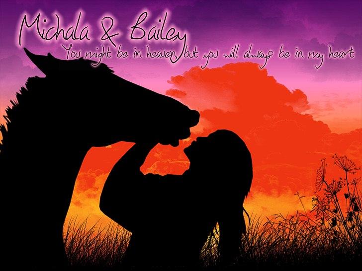 Anden særlig race Bailey Rough  - Min højt elskede pony <3 tak for billedet Stine<3 billede 9